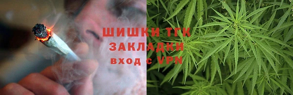 кокс Арсеньев