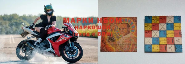 кокс Арсеньев