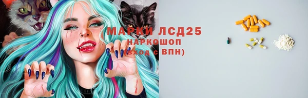 кокс Арсеньев